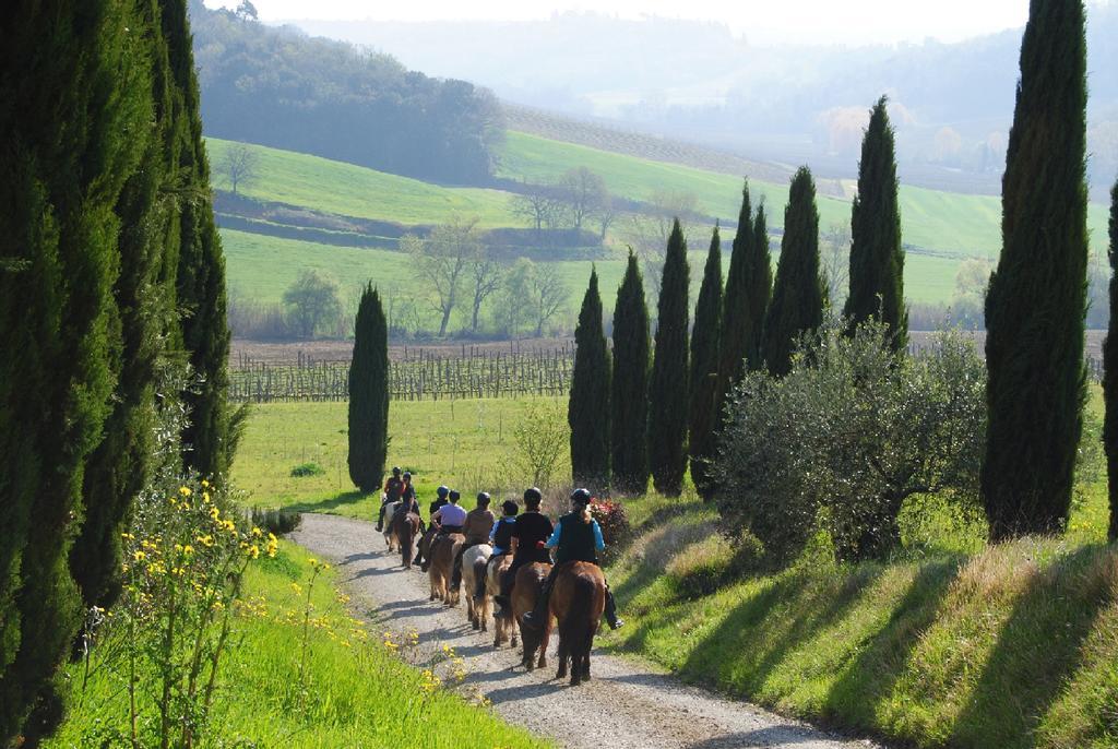 Agriturismo Fattoria Voltrona San Gimignano Exterior foto