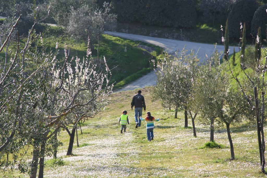 Agriturismo Fattoria Voltrona San Gimignano Exterior foto