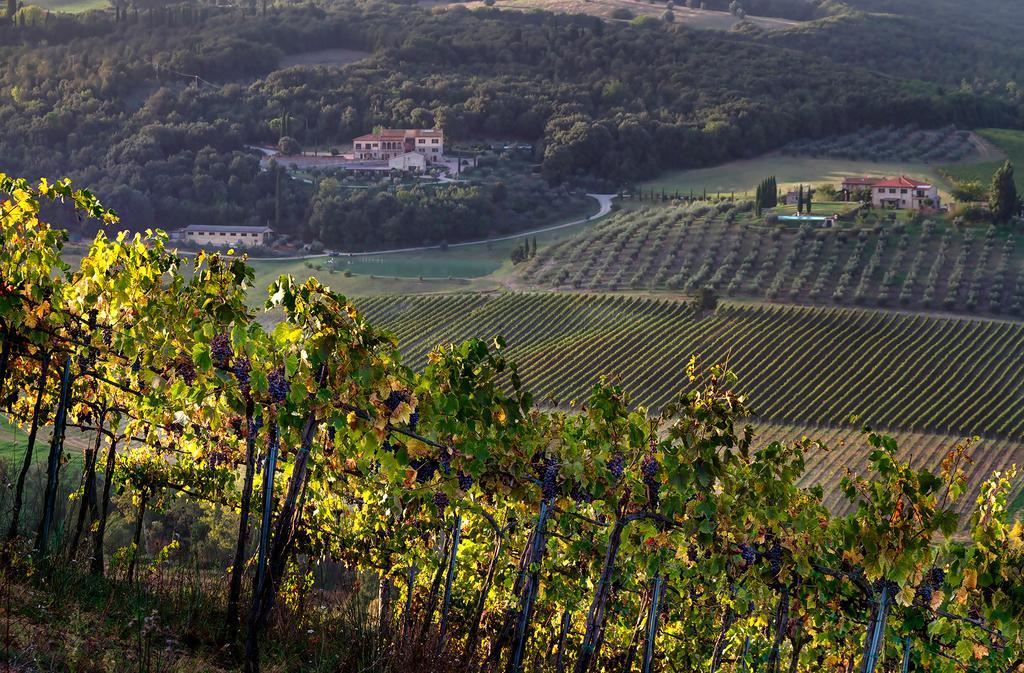 Agriturismo Fattoria Voltrona San Gimignano Exterior foto